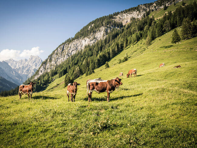 Luxus Chalet in Ramsau